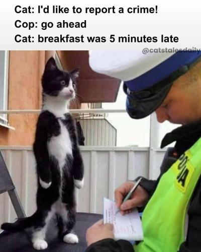 FB_IMG_1750889169726