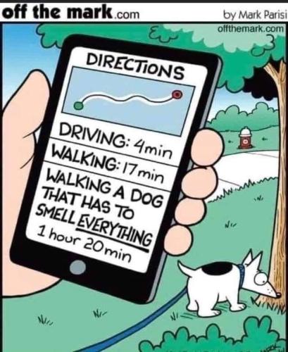 167c9c420661a4fc89d062987fbebdb0