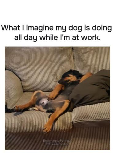 FB_IMG_1749221245697