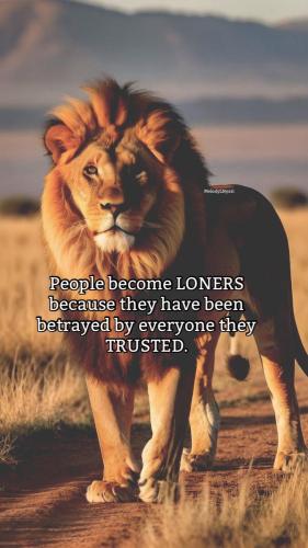 received_1238992081279519