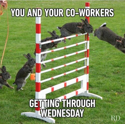 Screenshot_20250618_063149_Gallery