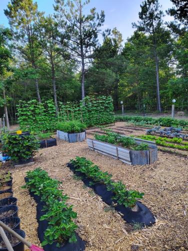 IMG_20250605_072912960_HDR