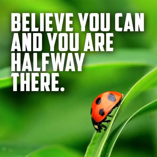 489740297_674203408829188_8309426129573383887_n