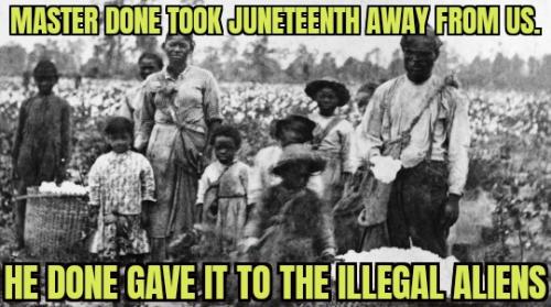 ZomboMeme 13062025000221