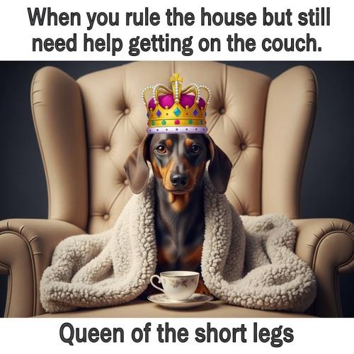 FB_IMG_1750188092717