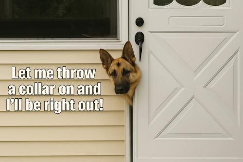 FB_IMG_1750703276083