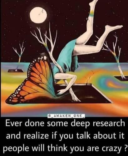 508554988_705775515493858_1399032550195537218_n