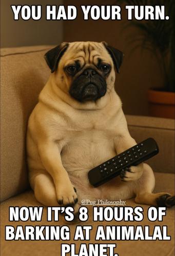 FB_IMG_1750548417799