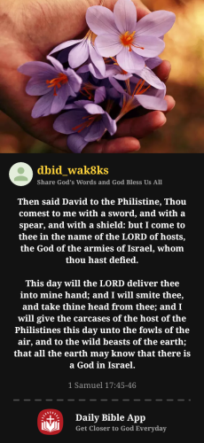 2025-06-121749705639164