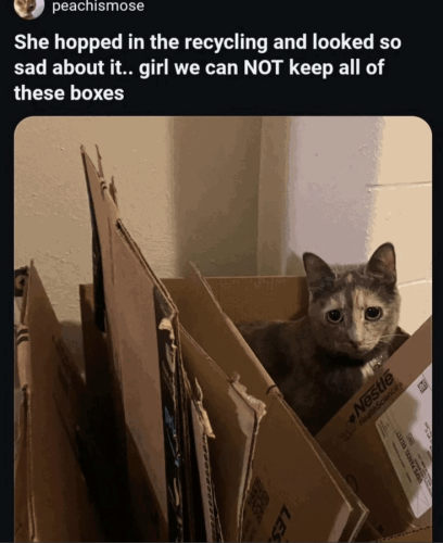 recycling-and-looked-so-sad-about-girl-can-not-keep-all-these-boxes-nestle-healthscience-sps-pard