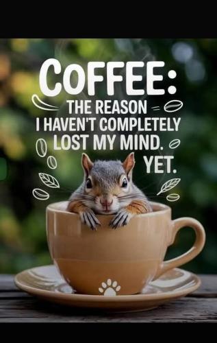 494521973_3796010460690641_7373245832436845120_n