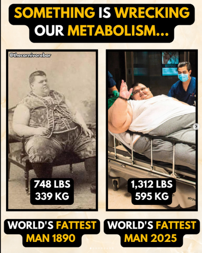 Screenshot 2025-06-27 155947