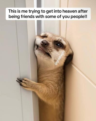 IMG_20250619_140559_914