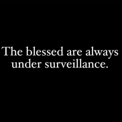 505492220_10161722399174958_2748688515344211724_n