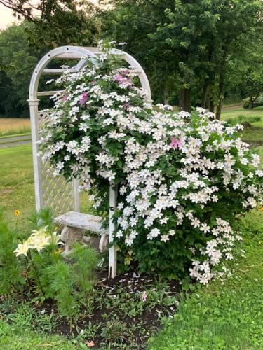 42F0FC64-D30C-4183-BC07-60C5F51B07E3