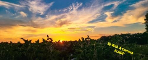 Screenshot_20250616_175702_Gallery