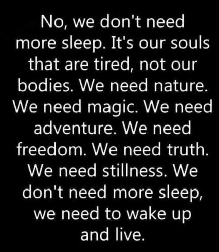 505750407_122257467626023788_3871282000990186108_n