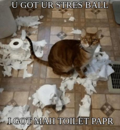 6bd0ca5a364519b3b921a94fe72aa0c5