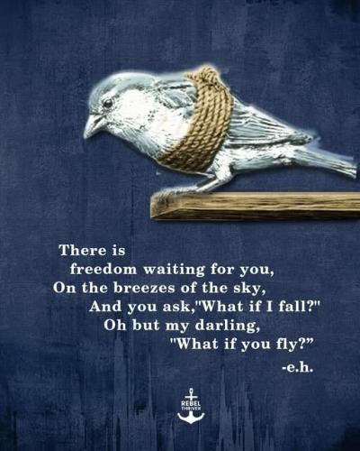 495449586_1273749374141628_2362218838517115806_n