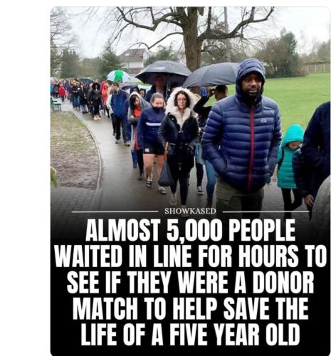 Screenshot_20250620_001452_Threads