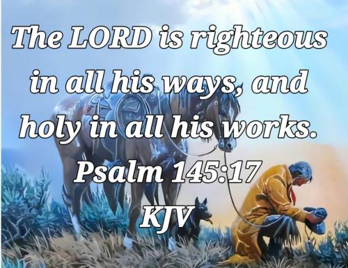 c7d3daa3-c1dc-47be-b496-def7081f50ea