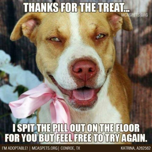 3266fe04bf75f8f6193b94f96bff4f5b