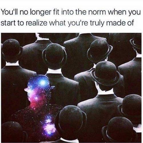 54b950251da5743e701d3be7691d10e8