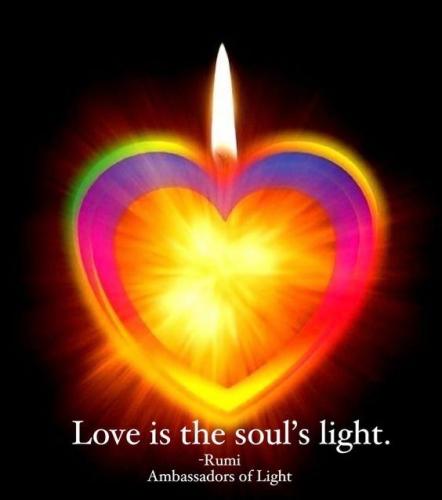 86b4030cc7e51d9cd9d8491d132de069