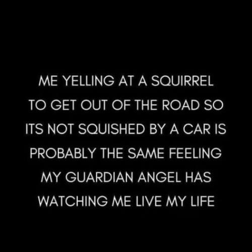 504931301_1683561008933911_3995496992674278013_n