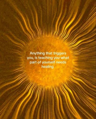 504261156_726222710293924_8287624333992435126_n