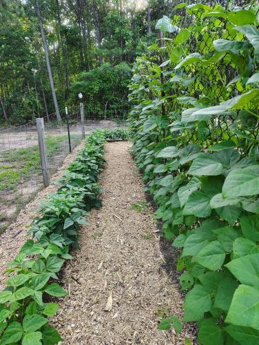 IMG_20250605_072951321_HDR