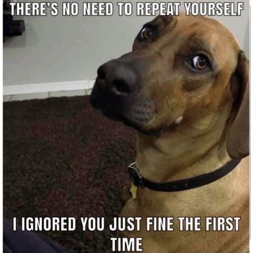 FB_IMG_1750699202030