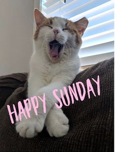 942ed03eeb2f021c28d1e98a73044251