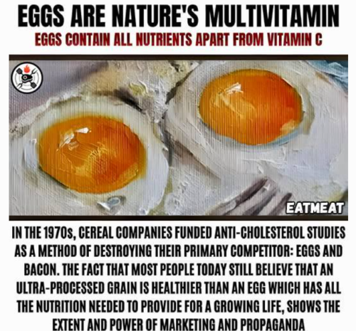 Screenshot 2025-06-28 170211