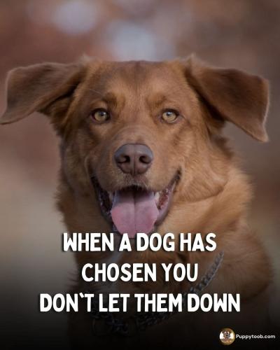 FB_IMG_1749830056131