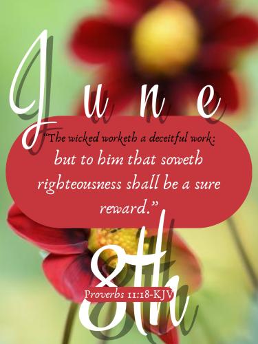 504659936_729836182884064_91579175311870761_n