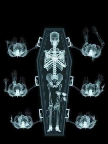 508689783_10229328694904926_4524236471542258480_n