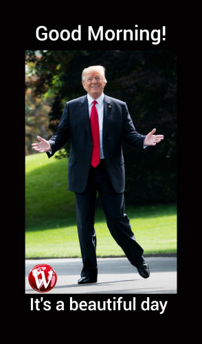 Polish_20250602_011839776