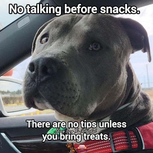 FB_IMG_1749327674869