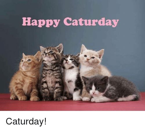 818343226503a95673b80a4fc3b3d136