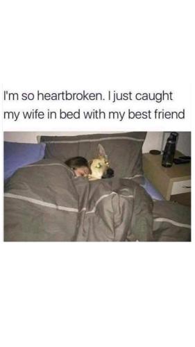 FB_IMG_1748713192717