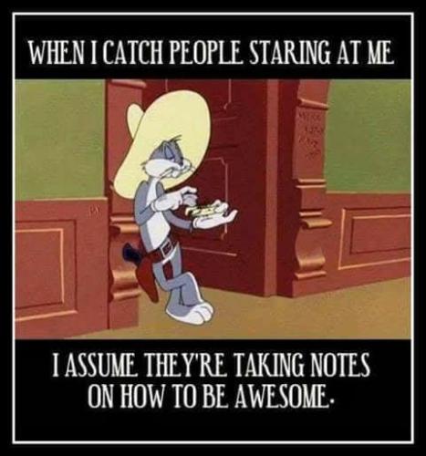 504891261_730000249563390_7631852839418428364_n