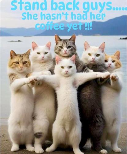 FB_IMG_1750348735047