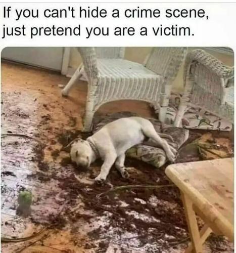 ClBPTzxPSs_-1-png__700