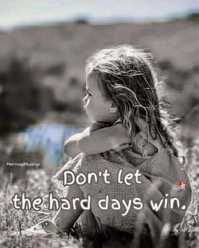 506298164_1150798210424875_5575528079818843056_n