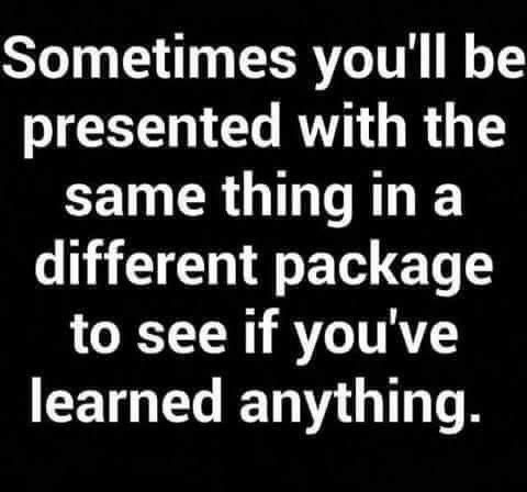 3a17b20b1cabd645c3251f317a88510e