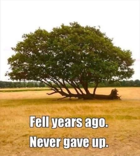 499496357_10171907834060344_4079951574213271001_n