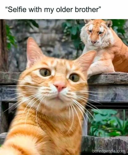 1-68491a4ee2199__700