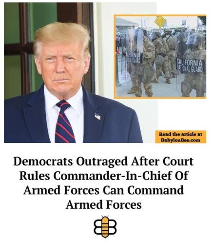 image_54F79BBD-87E4-400F-B17D-8208BF7111CF