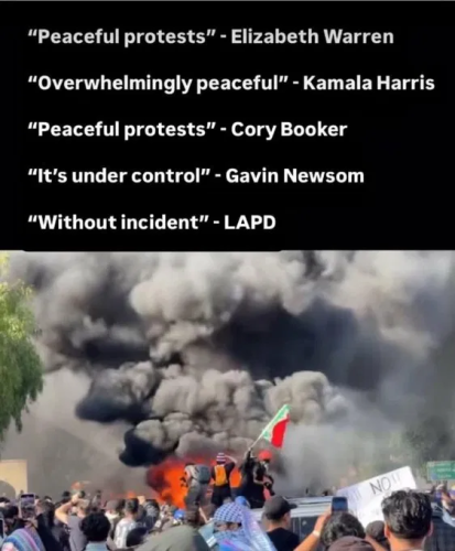 image_2025-06-11_061649679